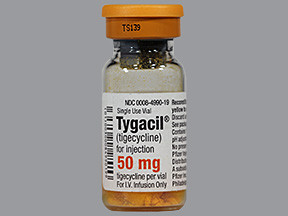 TYGACIL 50 MG VIAL