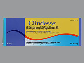 CLINDESSE 2% VAGINAL CREAM