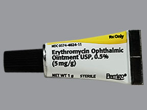 ERYTHROMYCIN 0.5% EYE OINTMENT