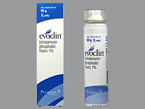 EVOCLIN 1% FOAM