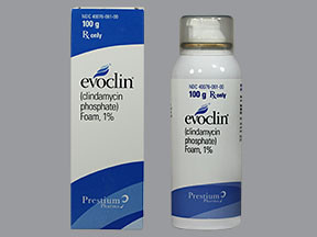 EVOCLIN 1% FOAM