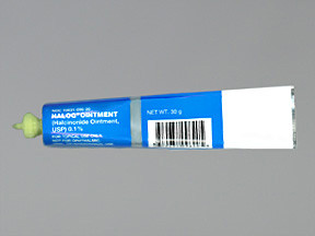 HALOG 0.1% OINTMENT