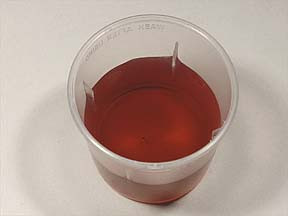 PHENYLHISTINE DH LIQUID