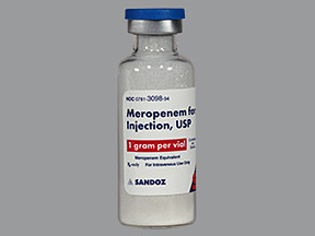 MEROPENEM IV 1 GM VIAL