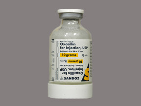 OXACILLIN 10 GM VIAL