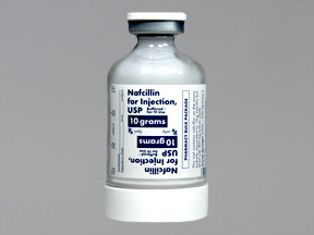 NAFCILLIN 10 GM BULK VIAL