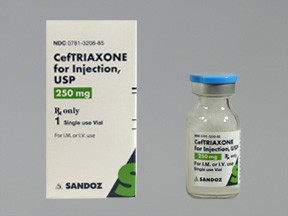 CEFTRIAXONE 250 MG VIAL