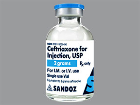 CEFTRIAXONE 2 GM VIAL