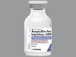 AMPICILLIN 10 GM VIAL