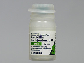 AMPICILLIN 1 GM ADD-VANTAGE VL