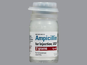AMPICILLIN 2 GM ADD-VANTAGE VL