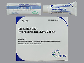 LIDOCAINE-HC 3-2.5% GEL KIT