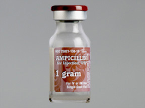 AMPICILLIN 1 GM VIAL