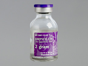 AMPICILLIN 2 GM VIAL