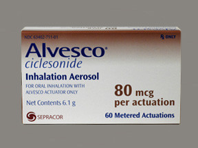 ALVESCO 80 MCG INHALER