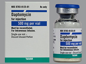 DAPTOMYCIN 500 MG VIAL