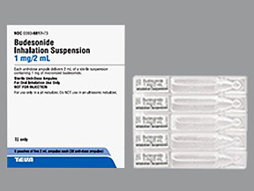 BUDESONIDE 1 MG/2 ML INH SUSP