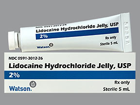 LIDOCAINE HCL 2% JELLY