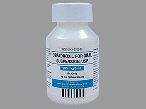 CEFADROXIL 500 MG/5 ML SUSP