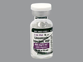 LINCOMYCIN HCL 600 MG/2 ML VL