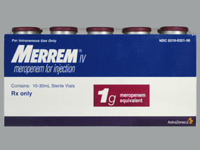 MERREM IV 1 GM VIAL