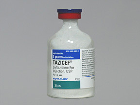 TAZICEF 2 GRAM VIAL